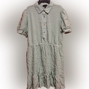 The Limited Green and White Striped Button-Up Shirt